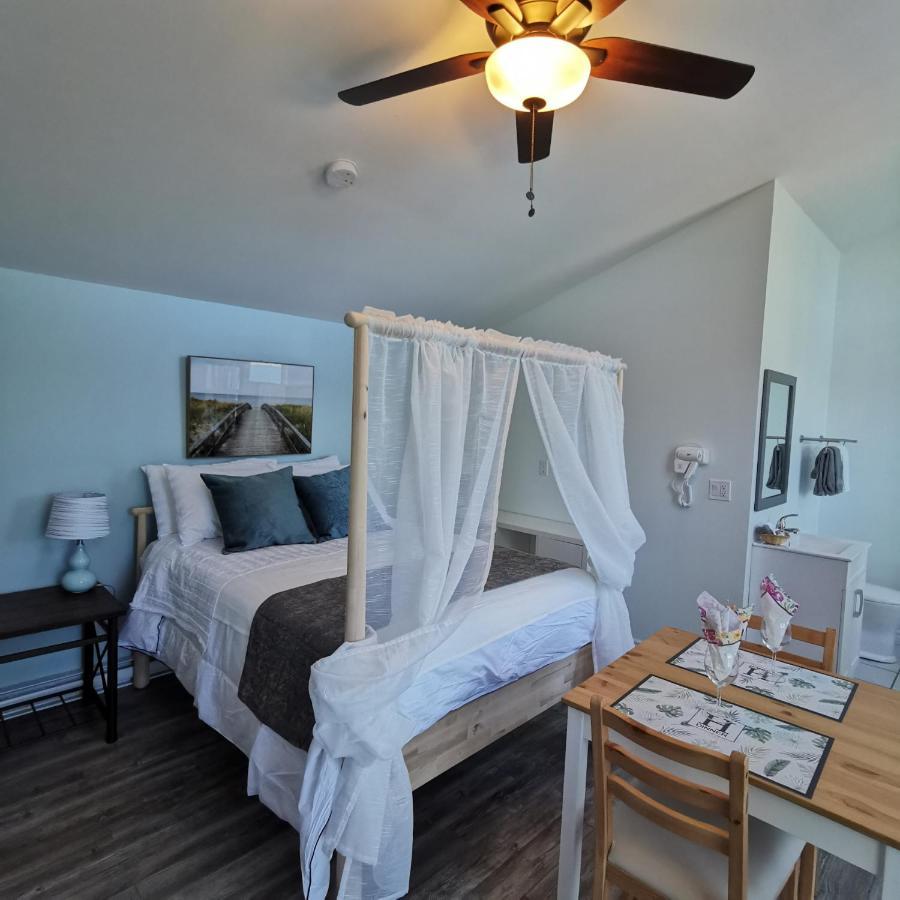 Knotty Pine Ocean Front Suite - Adults Only Ingonish Dış mekan fotoğraf