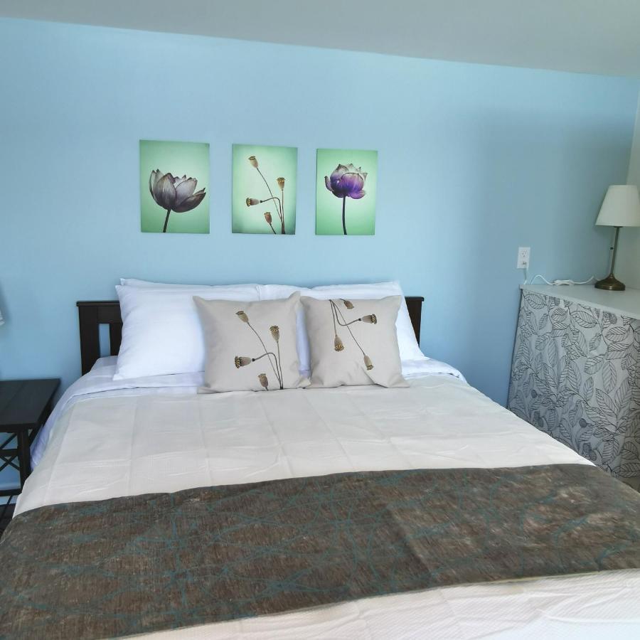 Knotty Pine Ocean Front Suite - Adults Only Ingonish Dış mekan fotoğraf