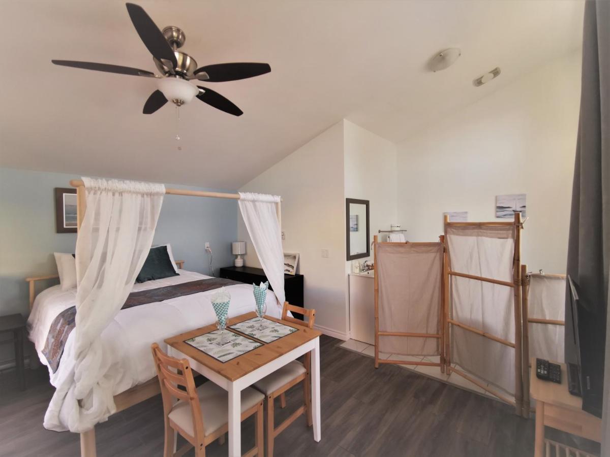 Knotty Pine Ocean Front Suite - Adults Only Ingonish Dış mekan fotoğraf